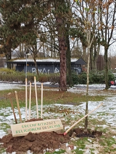 Baumspende Schülerpark © Universitätsstadt Marburg, FD Stadtgrün & Friedhöfe