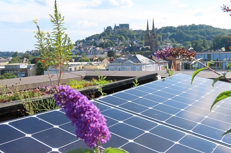 Jetzt anmelden für den Workshop zur BürgerSolarBeratung: Ehrenamtliche Interessierte mit Photovoltaik-Erfahrung können Teil des Teams werden. © Tatjana Veith, Stadt Marburg