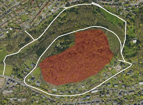Luftbild vom Gebiet Schutzgebiet "Dammelsberg und Köhlersgrund". Der Bereich mit erhöhtem Risiko ist rot markiert. Die freigegebenen Wege sind als weiße Linien dargestellt. © Universitätsstadt Marburg